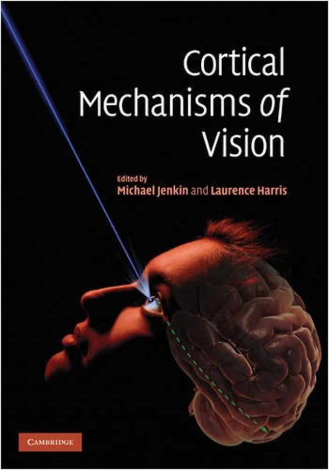 Cortical Mechanisms of Vision