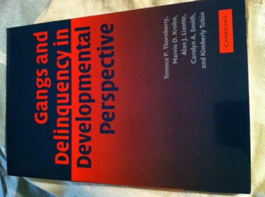 Gangs and Delinquency in Developmental Perspective