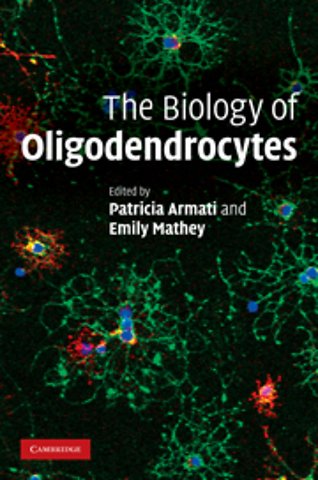 The Biology of Oligodendrocytes