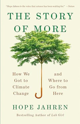Story of More