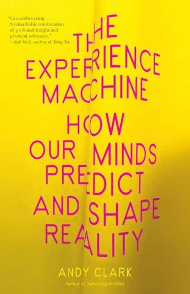 The Experience Machine