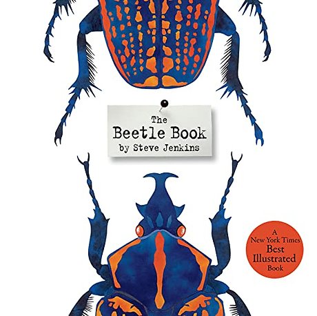 The Beetle Book