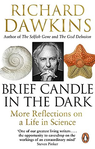 Brief Candle in the Dark
