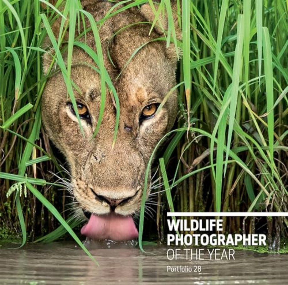 Wildlife Photographer of the Year: Portfolio 28
