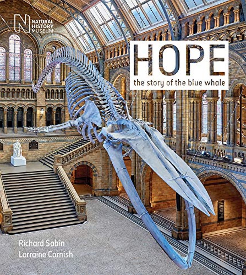 Hope