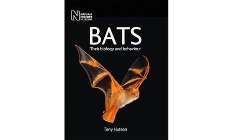 Bats