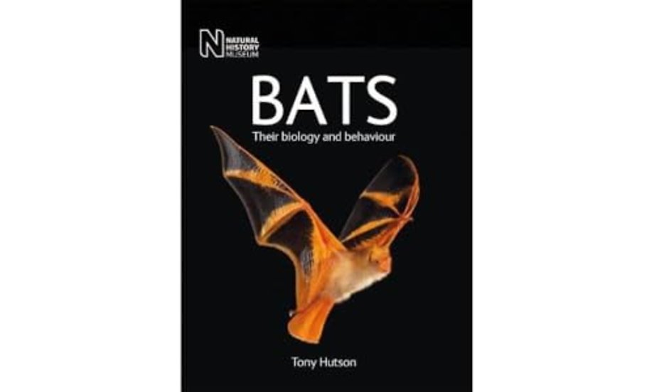 Bats