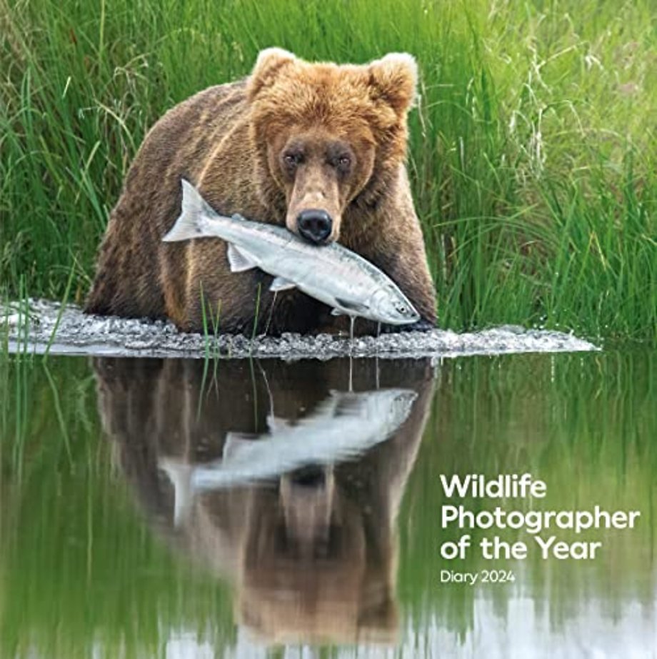 Wildlife Photographer of the Year: Desk Diary 2024
