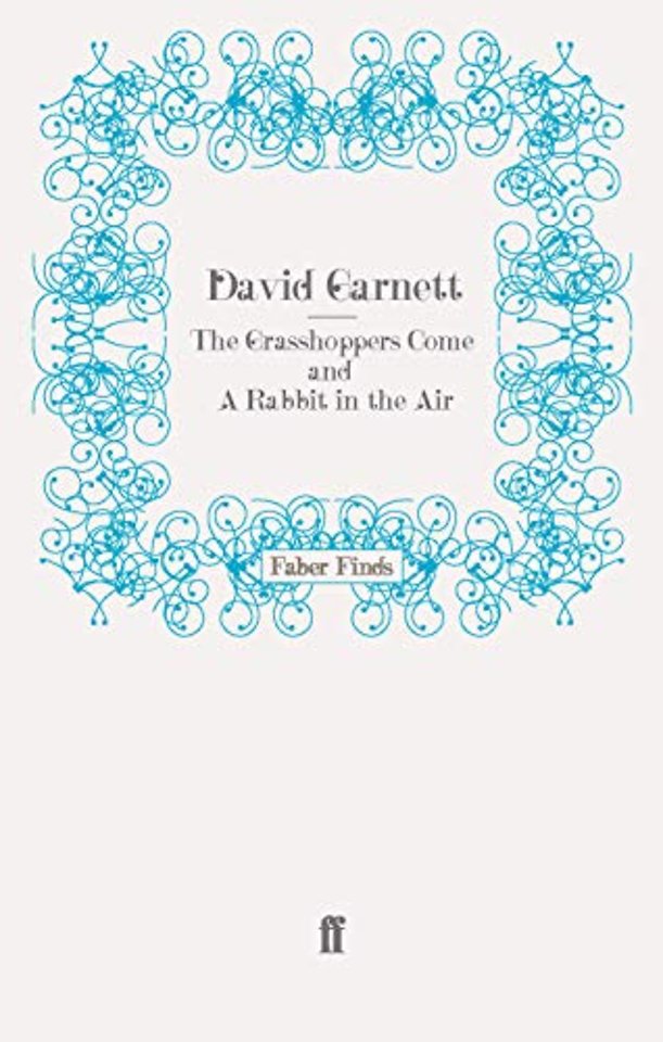 The Grasshoppers Come and A Rabbit in the Air