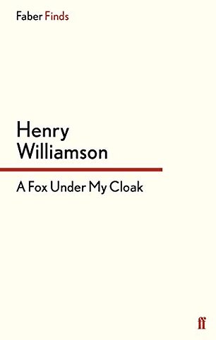 A Fox Under My Cloak