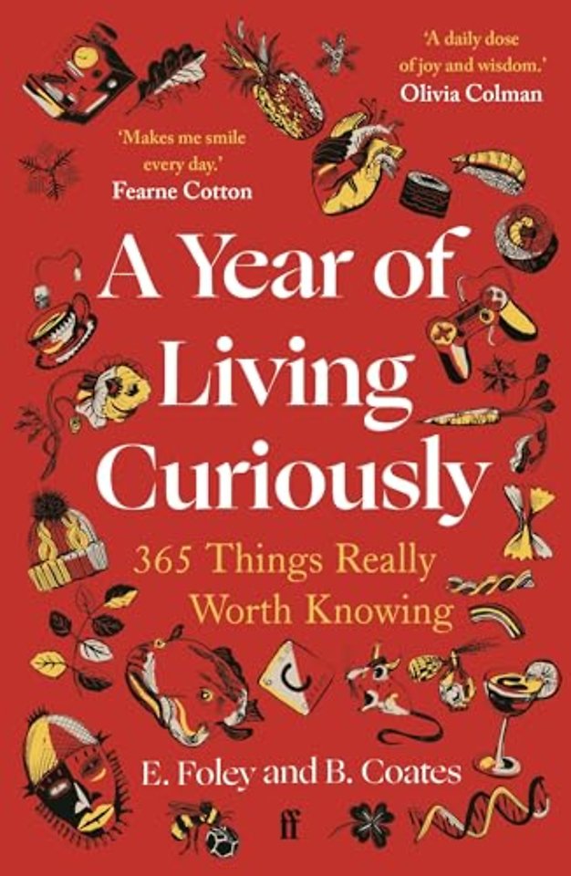 A Year of Living Curiously