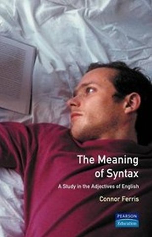 Meaning of Syntax