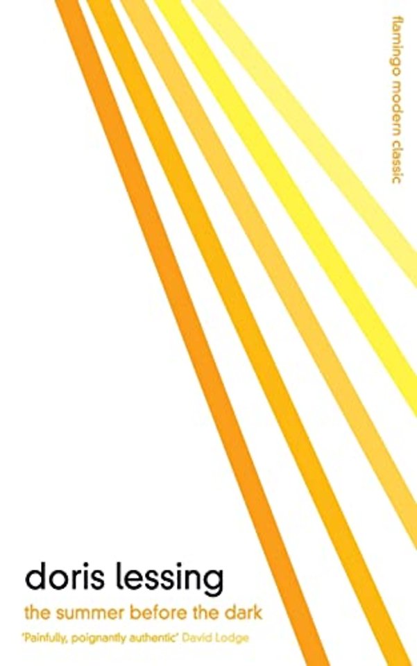 The Summer Before the Dark