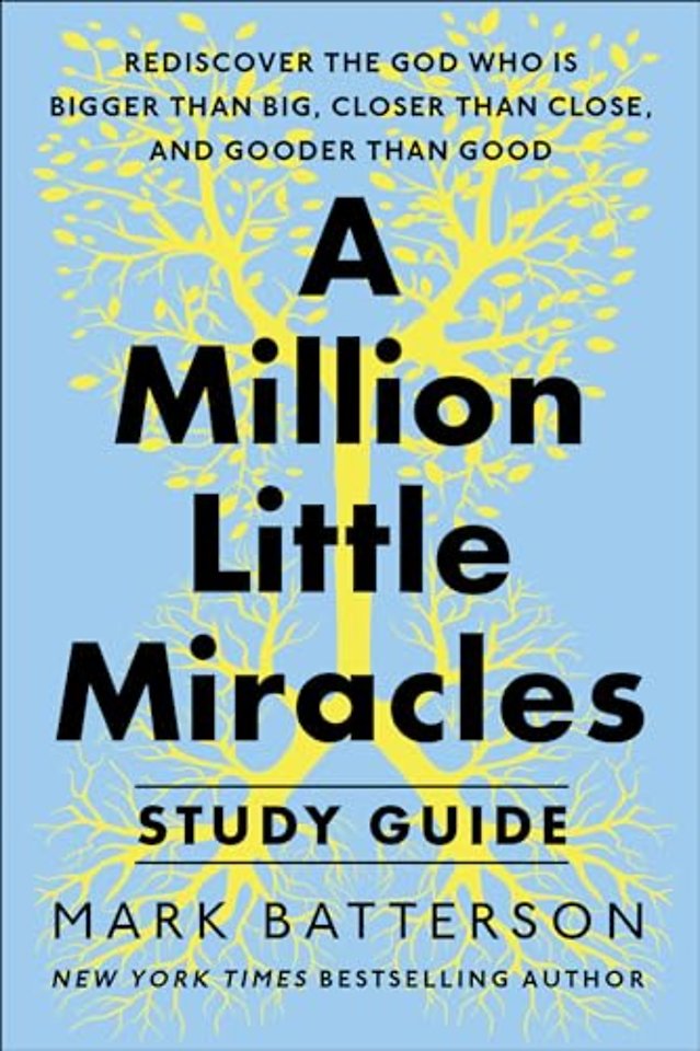 A Million Little Miracles Study Guide