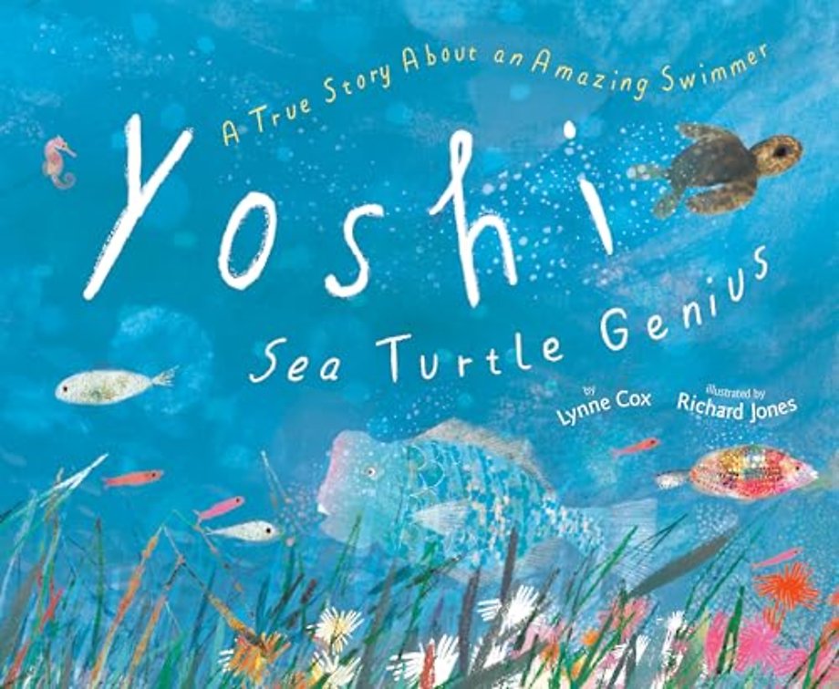 Yoshi, Sea Turtle Genius