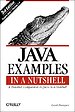 Java Examples in a Nutshel, 3rd edition