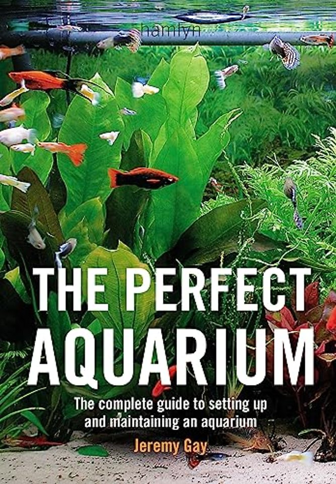 The Perfect Aquarium