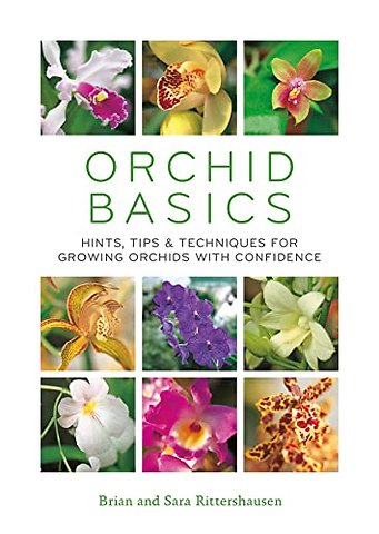 Orchid Basics