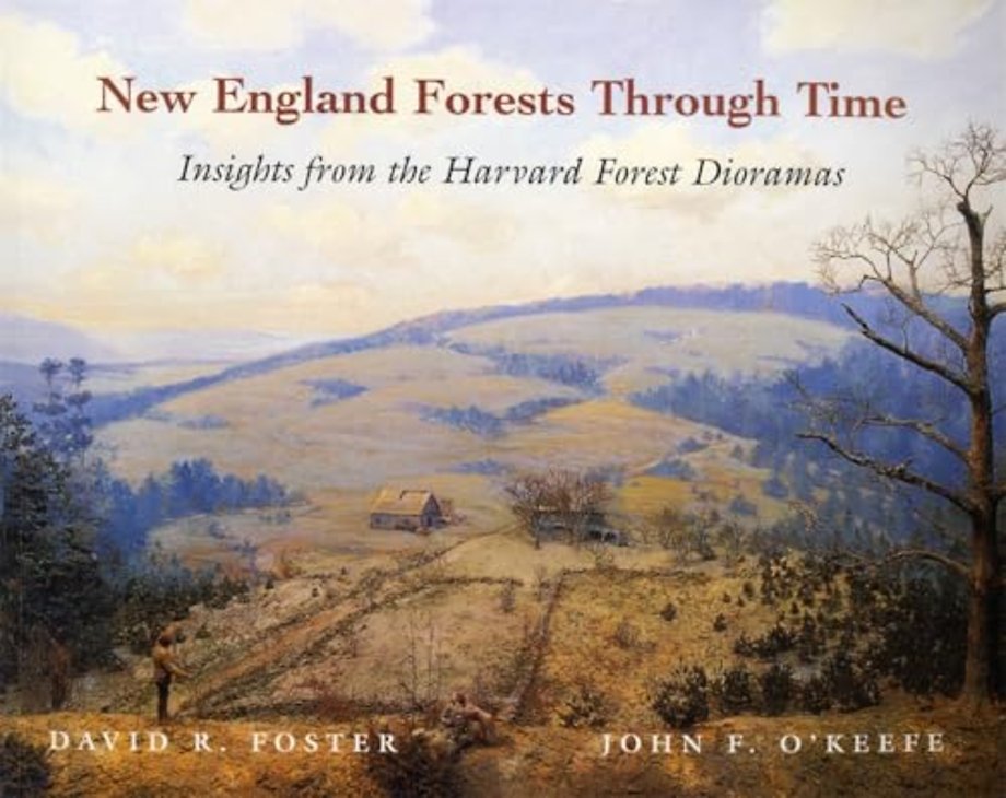 New England Forests Through Time