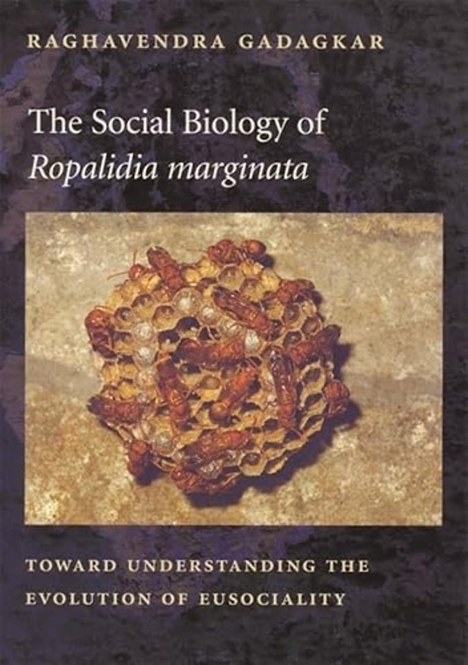 The Social Biology of Ropalidia marginata