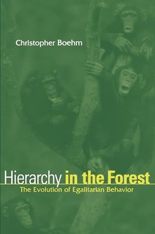 Hierarchy in the Forest