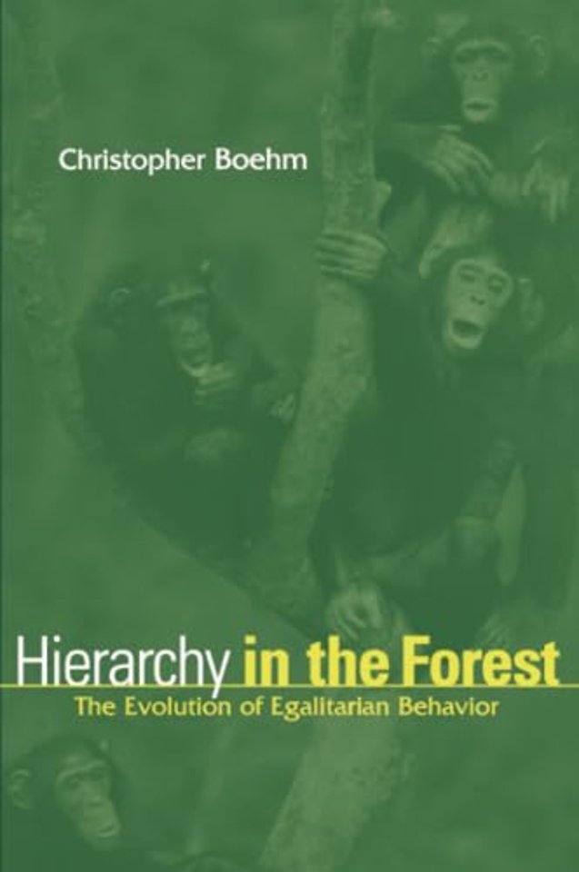 Hierarchy in the Forest