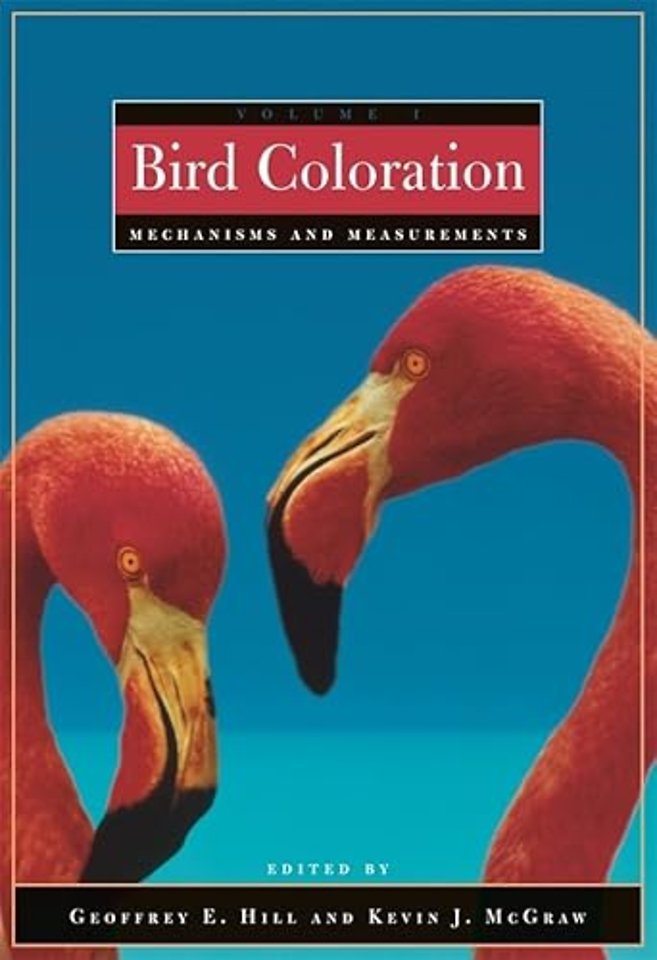 Bird Coloration