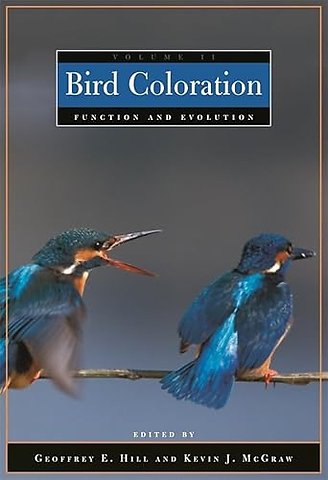 Bird Coloration