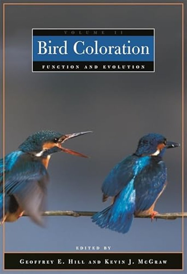 Bird Coloration