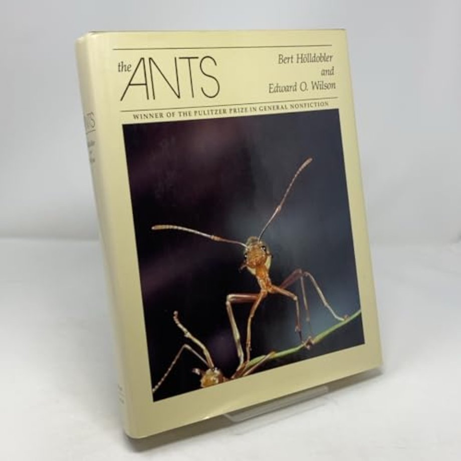 The Ants