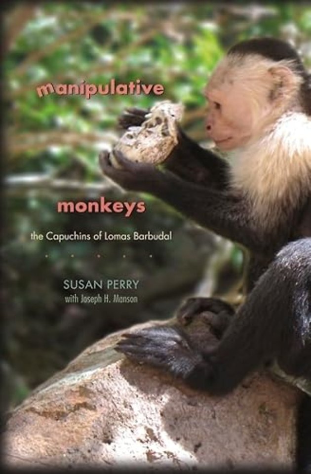 Manipulative Monkeys – The Capuchins of Lomas Barbudal