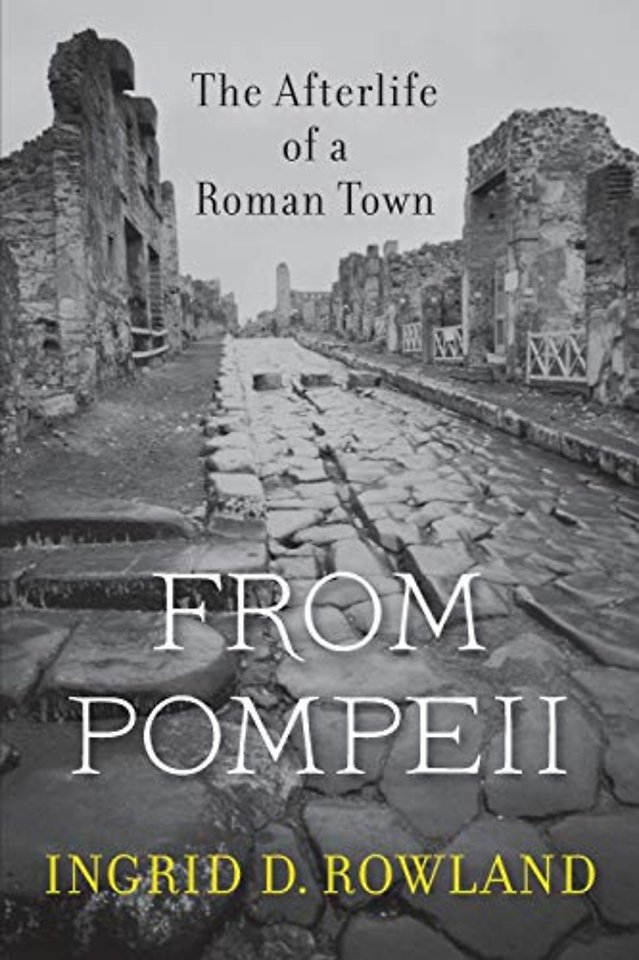 From Pompeii – The Afterlife of a Roman Town