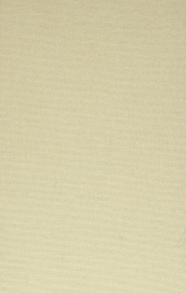 Essays in Philosophy