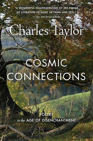 Cosmic Connections – Poetry in the Age of Disenchantment