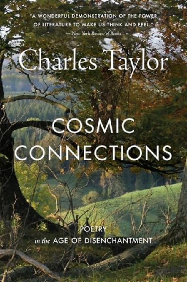 Cosmic Connections – Poetry in the Age of Disenchantment