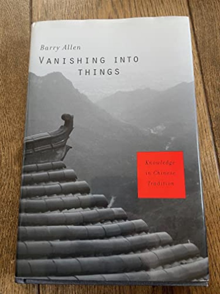Vanishing into Things