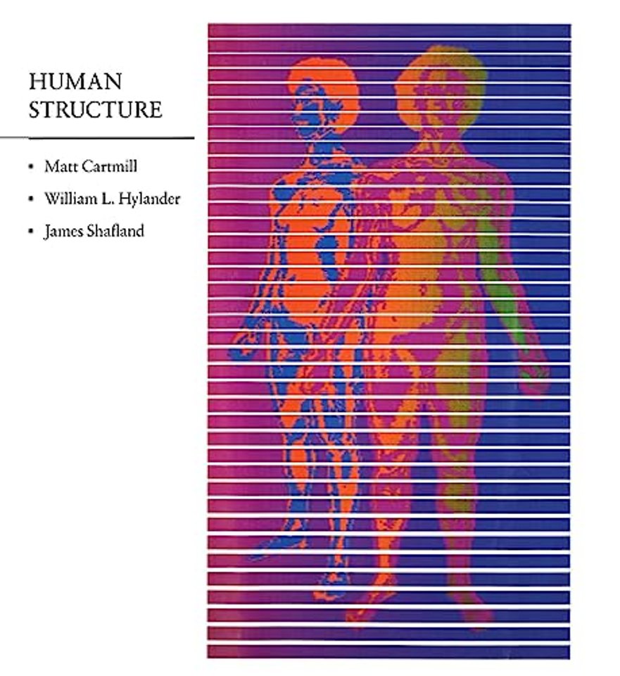 Human Structure