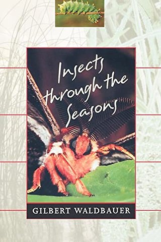 Insects through the Seasons