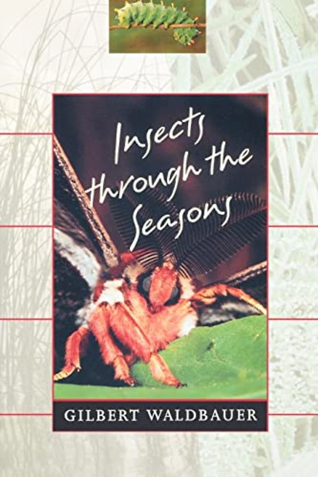 Insects through the Seasons