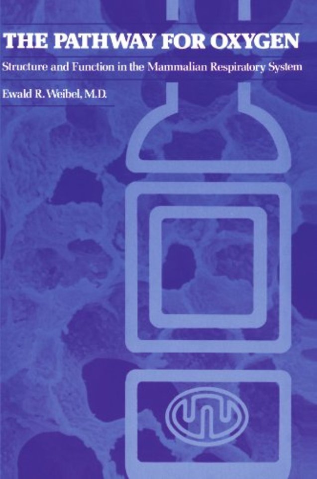 The Pathway for Oxygen – Structure and Function in the Mammalian Respiratory System