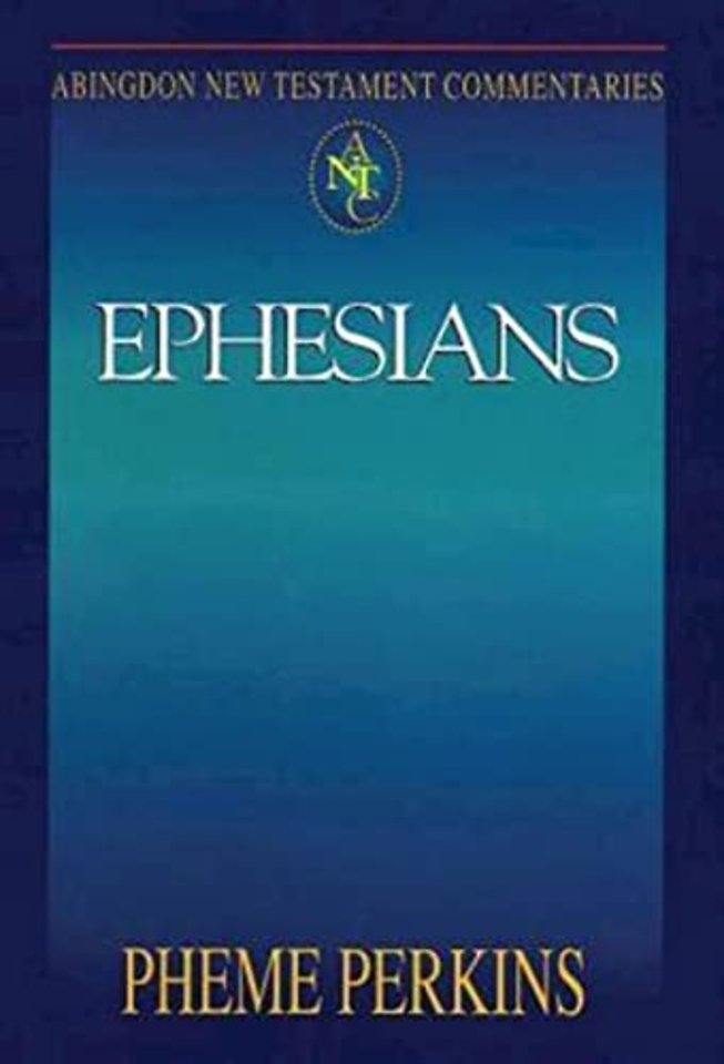 Abingdon New Testament Commentaries