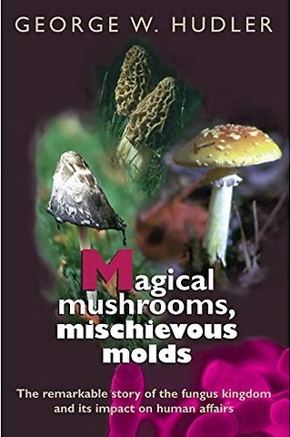 Magical Mushrooms