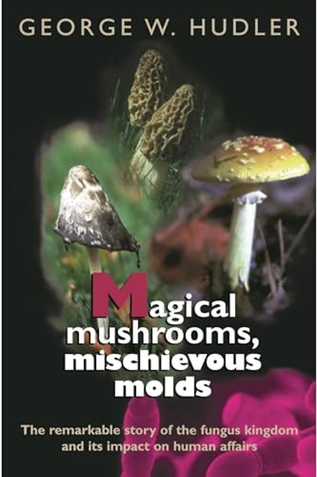 Magical Mushrooms