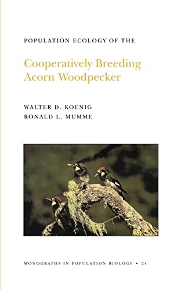 Population Ecology of the Cooperatively Breeding Acorn Woodpecker