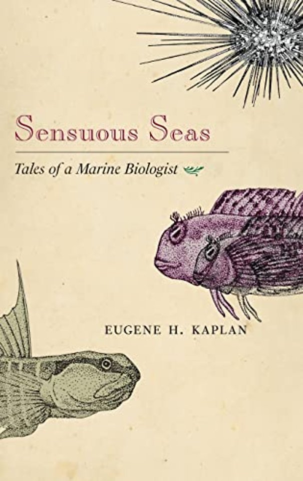 Sensuous Seas – Tales of a Marine Biologist