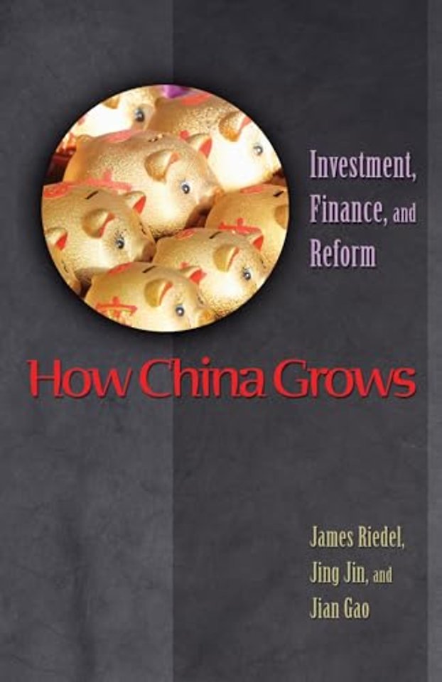 How China Grows – Investment, Finance, and Reform