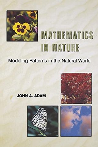 Mathematics in Nature – Modeling Patterns in the Natural World
