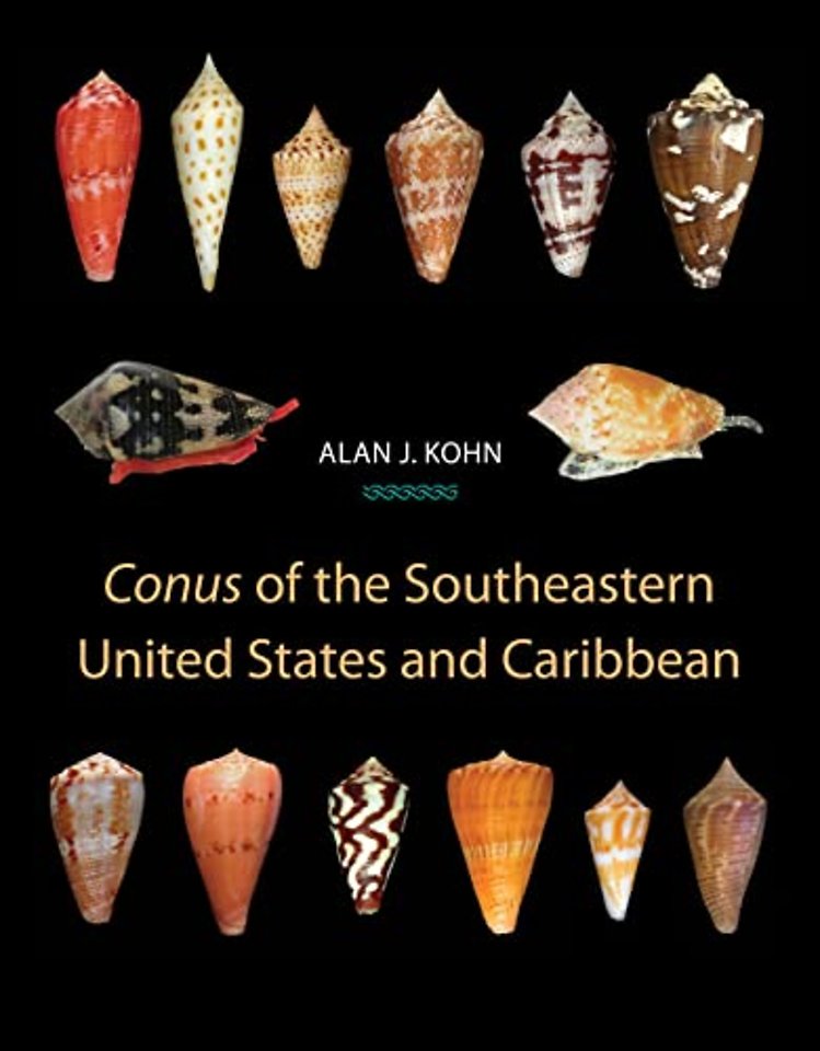 Conus of the Southeastern United States and Caribbean