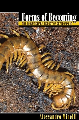 Forms of Becoming – The Evolutionary Biology of Development