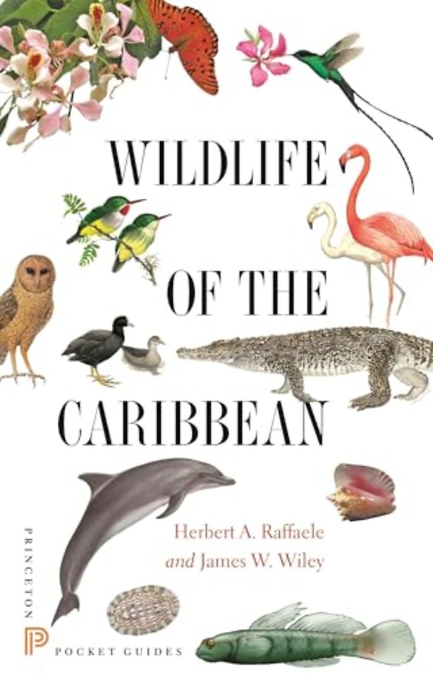 Wildlife of the Caribbean